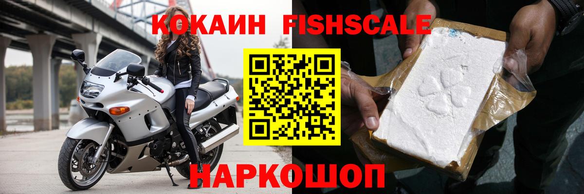 Cocaine Fish Scale  как найти закладки  Оренбург  Вход с VPN 